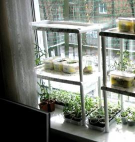 стеллажи для выращивания рассады - вариант 4