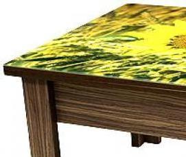 столешница 800х1600 мм - тип 1