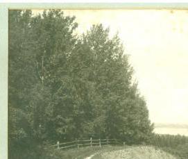 столешница Мраморный берег - тип 2