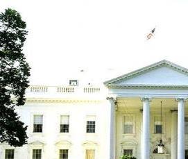 строительство белого дома - тип 3