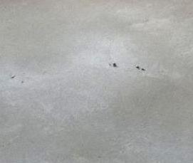 стяжка фиброцементная - тип 1