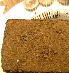 субстрат для мирта - вариант 3