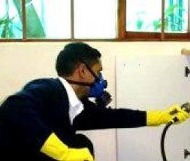 сухая дезинсекция - модель 3