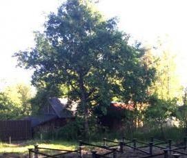 сваи 108 2 5 - модель 1