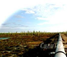 сваи нкт - вариант 1