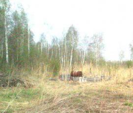 сваи якоря - модель 2