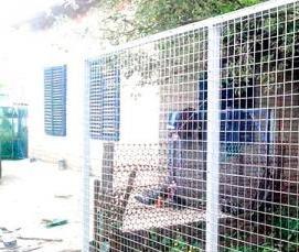 сварная сетка 70 на 70 мм - вариант 1