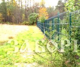 сварная сетка 8017 - модель 1