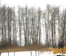 свая 325 - модель 1