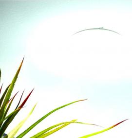 светильник настенно потолочный е27 - тип 3