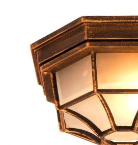 светильники потолочные нпп 03 100 - вариант 2