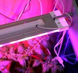 светодиодный светильник для рассады - модель 1