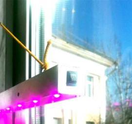 светодиодный светильник для рассады - модель 4