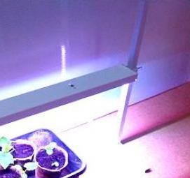 светодиодный светильник для рассады - модель 3