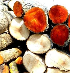 свежий сруб - тип 3