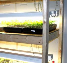 теплица для рассады с подсветкой - вариант 1