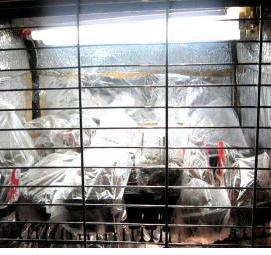 теплица для рассады с подсветкой - вариант 3