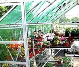 теплица из алюминиевых рам - вариант 2