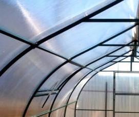 теплица капля - тип 2