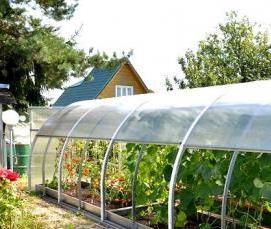 теплица кремлевская с открывающейся крышей - тип 2