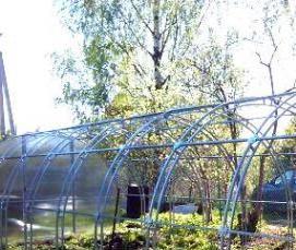 теплица кремлевская усиленная люкс - тип 1