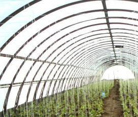 теплица круглогодичная промышленная - вариант 1
