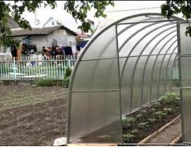 теплица оцинкованная усиленная из поликарбоната - тип 3
