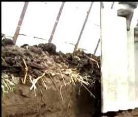 теплица плодородная - тип 3