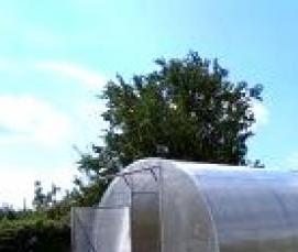 теплица плодородная - тип 2