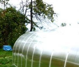 теплица подмосковная - вариант 1