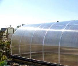 теплица премиум усиленная - модель 1