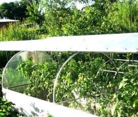 теплица с открывающейся крышей - модель 3