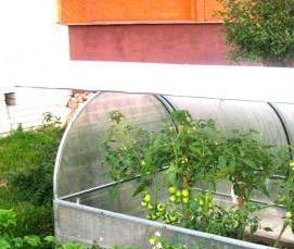 теплица с открывающейся крышей - модель 2