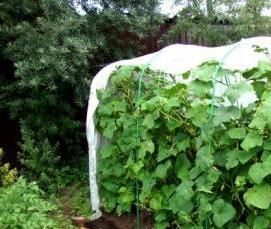 теплица сборная с армированной пленкой - тип 3