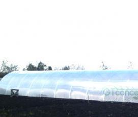 теплица стандартная - тип 1