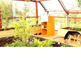 теплица стеклянная домик - модель 4