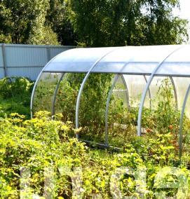 теплица тюльпан антишторм - модель 1