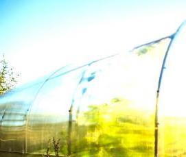 теплица усиленная - модель 3