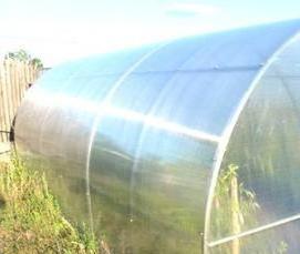 теплица усиленная - модель 2