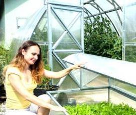 теплицы артельные - вариант 1