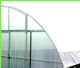 теплицы без карбоната - вариант 4