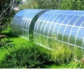 теплицы без карбоната - вариант 3