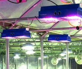 теплицы большие производственные - модель 1