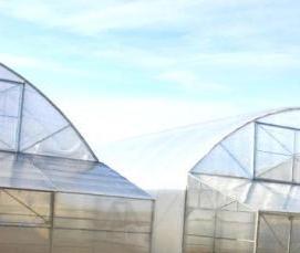 теплицы большие производственные - модель 3