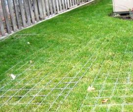 теплицы глубокие - модель 1