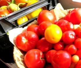 теплицы красные - модель 2