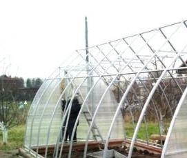 теплицы квадратные прямостенные - модель 2