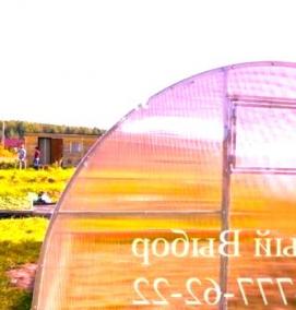 теплицы набережные - тип 4