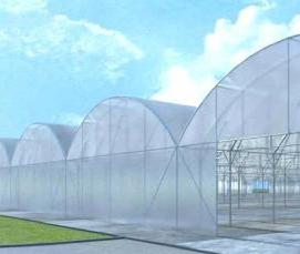 теплицы прозрачные - вариант 2