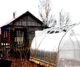теплицы с раздвижным верхом - вариант 1